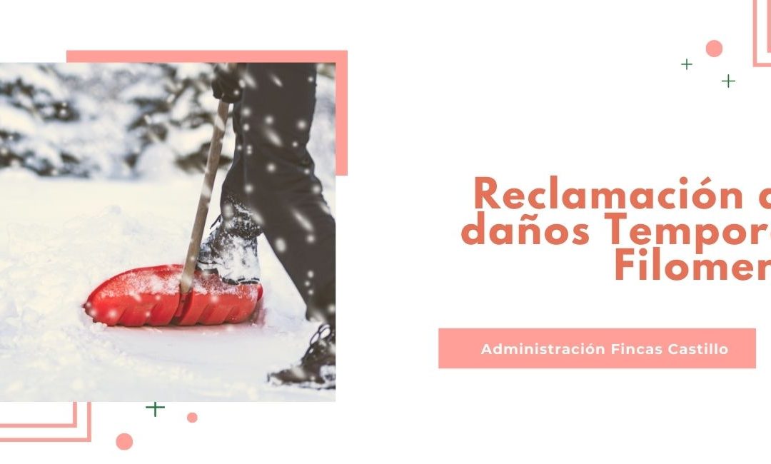 Temporal Filomena y reclamación de daños