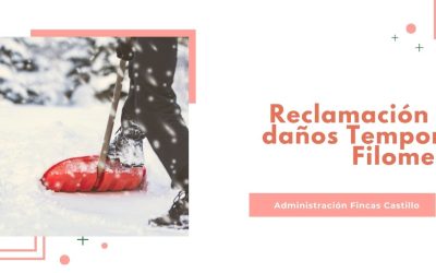 Temporal Filomena y reclamación de daños